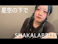 星空の下で/SHAKALABBITS