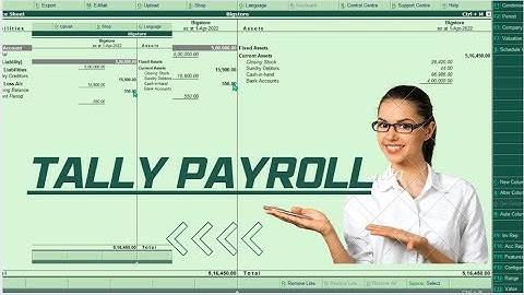 Tally ERP 9 Tutorial -Payroll to your employees
