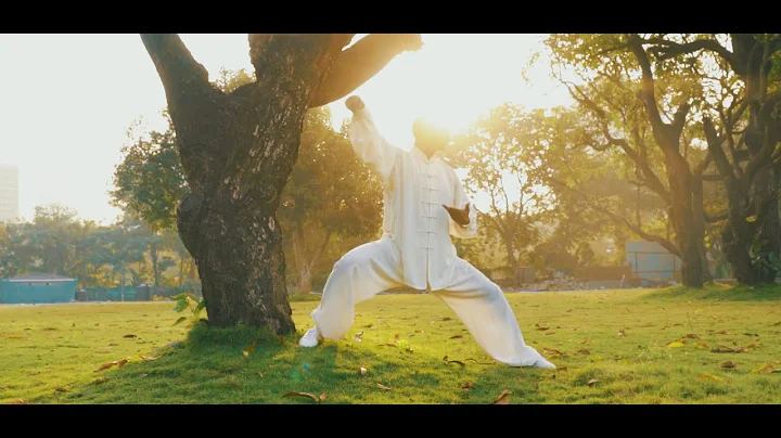 Life Institute of Tai-Chi and Martial Arts with Si...