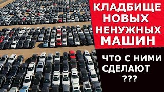 Кладбище Новых Ненужных Автомобилей. Что С Ними Сделают?