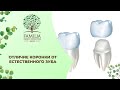 Отличается ли коронка от естественного зуба? Стоматология Краснодара