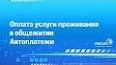 Видео по запросу "мисис общежитие оплата"