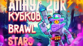 Финал проекта путь к 20к | Brawl Stars