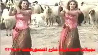 Hataba(7)