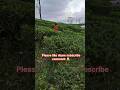 chuttamalle#shots #baby #edit #cutebaby #music #song #entertainment #trending #travel #viral #reels