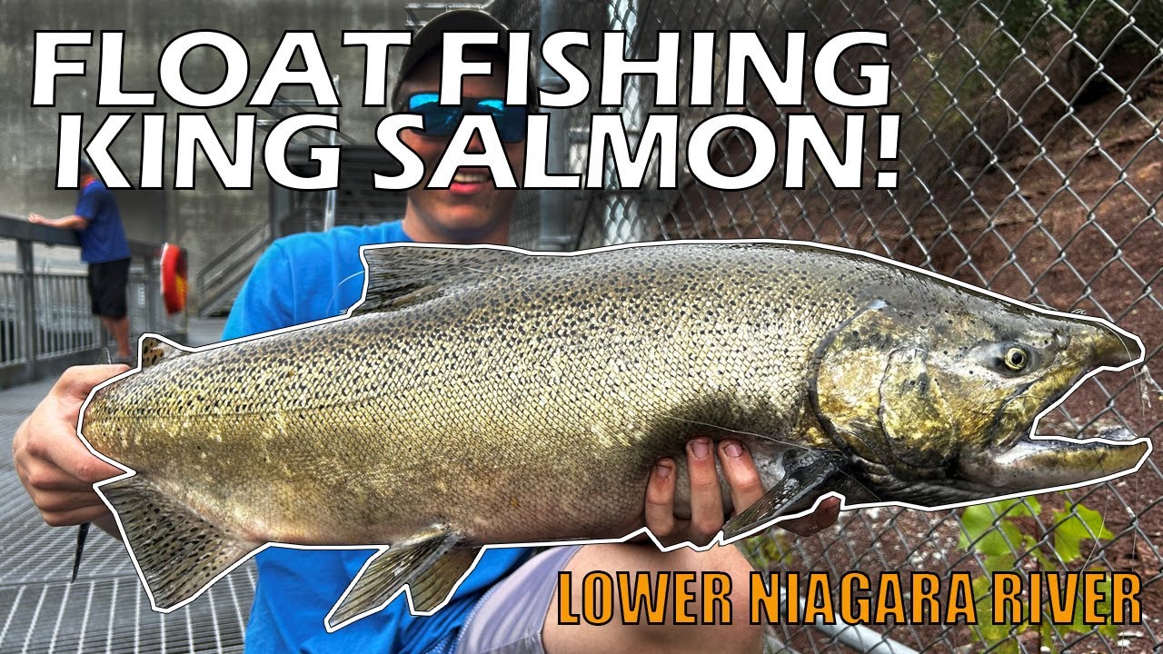 Float Fishing King Salmon. Niagara River. 