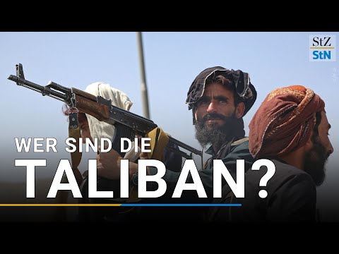 Video: Was Sind Die Kätzchenschalen?