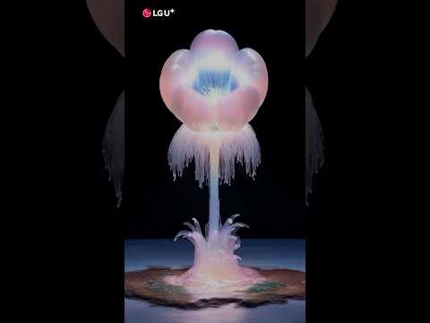 [AX 미디어아트] VIRTUAL ORGANISM 버추얼 오가니즘