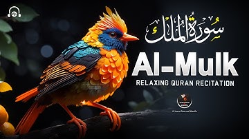 Surah Al-Mulk سورة الملك | Soothing Majestic Quran for Restful Sleep & Inner Peace #lofiquran