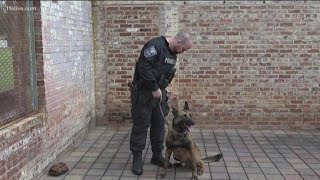 Officer Edgar Flores honored as K9 Indi is welcomed back to the force