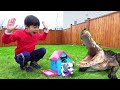 dog was eaten by crocodile play house ワンワン ワニに食べらたー！！ 犬小屋を作るよ！ おゆうぎ こうくんねみちゃん