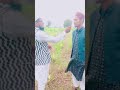Allah ne kis kis din me kon kon si chiz ko banaya #shorts #shortvideo #islamicquotes #islamicstatus