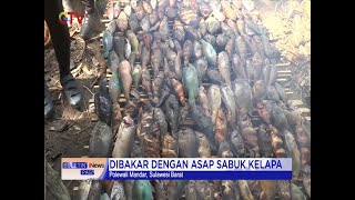 Nikmatnya Bau Pi Api, Kuliner Khas Pulau Battoa, Sulawesi Barat #BuletiniNewsPagi 17/06