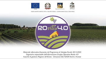 Rovitis 4.0 - The project