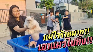 แม่ใจร้ายเกินไป!! เอาแมวพวกเราไปทิ้ง!! | ชีต้าพาชิว