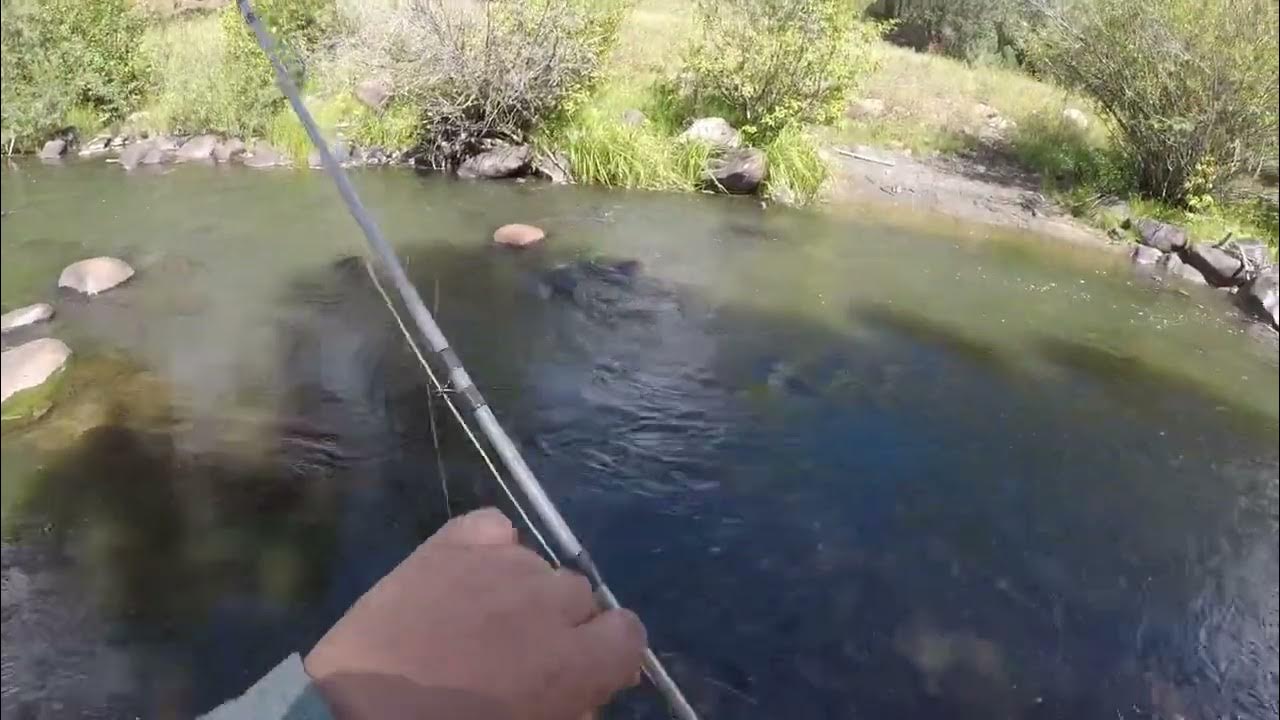 Fly fishing in Pagosa Springs CO YouTube