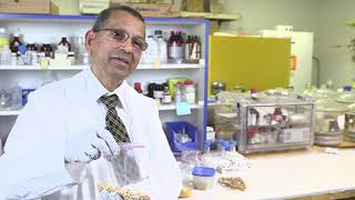 Introduction to #Green Nanotechnology by #DrKatteshKatti