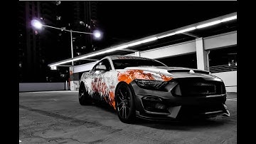 Shelby GT350 Bumper install