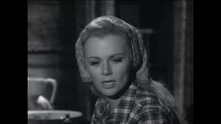 The Loner (January 8, 1966)