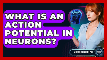 What Is An Action Potential In Neurons? - Neurotech Insight Pro