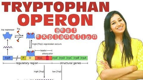 TRYPTOPHAN OPERON- Easiest Explanation||Molecular Biology|TRP operon|Csirnet|gate|iitjam|msc|bsc|phd