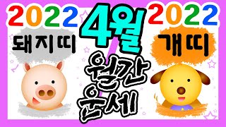 [띠별 월간 운세] 2022년 4월 한 달 (음 3월) 돼지띠와 개띠 운세입니다~  사주/운세/역학/철학/주…