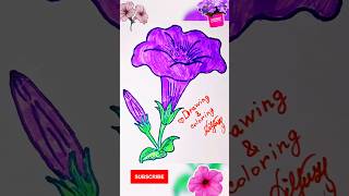 Beautiful flower petunia #drawing #nature #flowers #petunia #shorts