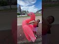 Flamenco
