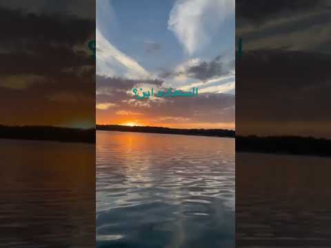 السعاده وين