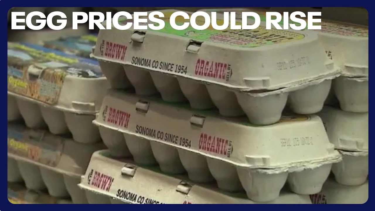 Experts: Egg prices could rise another 20% in 2024