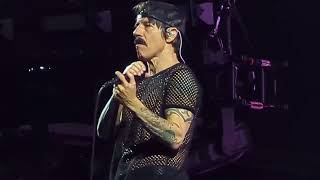 Red Hot Chili Peppers - Under The Bridge (Live @ London 21/7/2023)