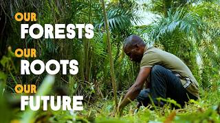 Our Forests, Our Roots, Our Future