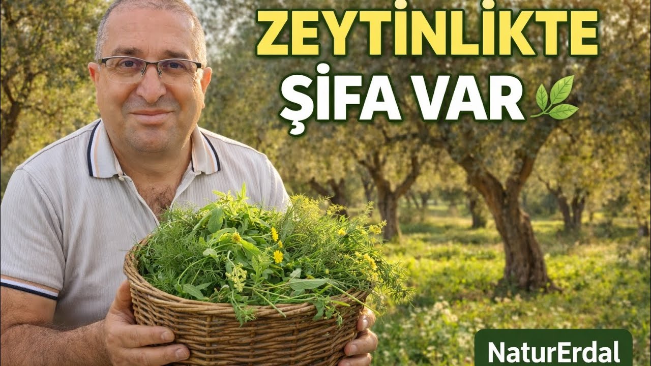 BU OTU KİMLER TANIYOR 