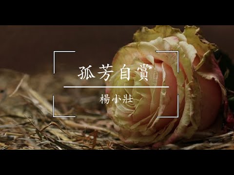 孤芳自賞 歌词 - by 楊小壯