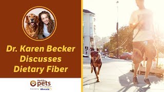 Http://healthypets.mercola.com/sites/healthypets/archive/2012/11/19/dietary-fiber.aspx
dr. karen becker, a proactive and integrative wellness veterinarian
di...