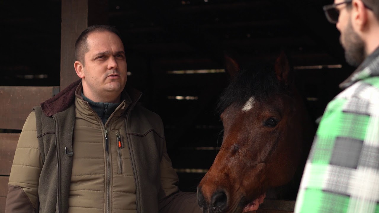 Felfedező - Jósvafő