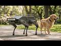 CCBOT WalkDog | Legged Modular Robot Platform Demo