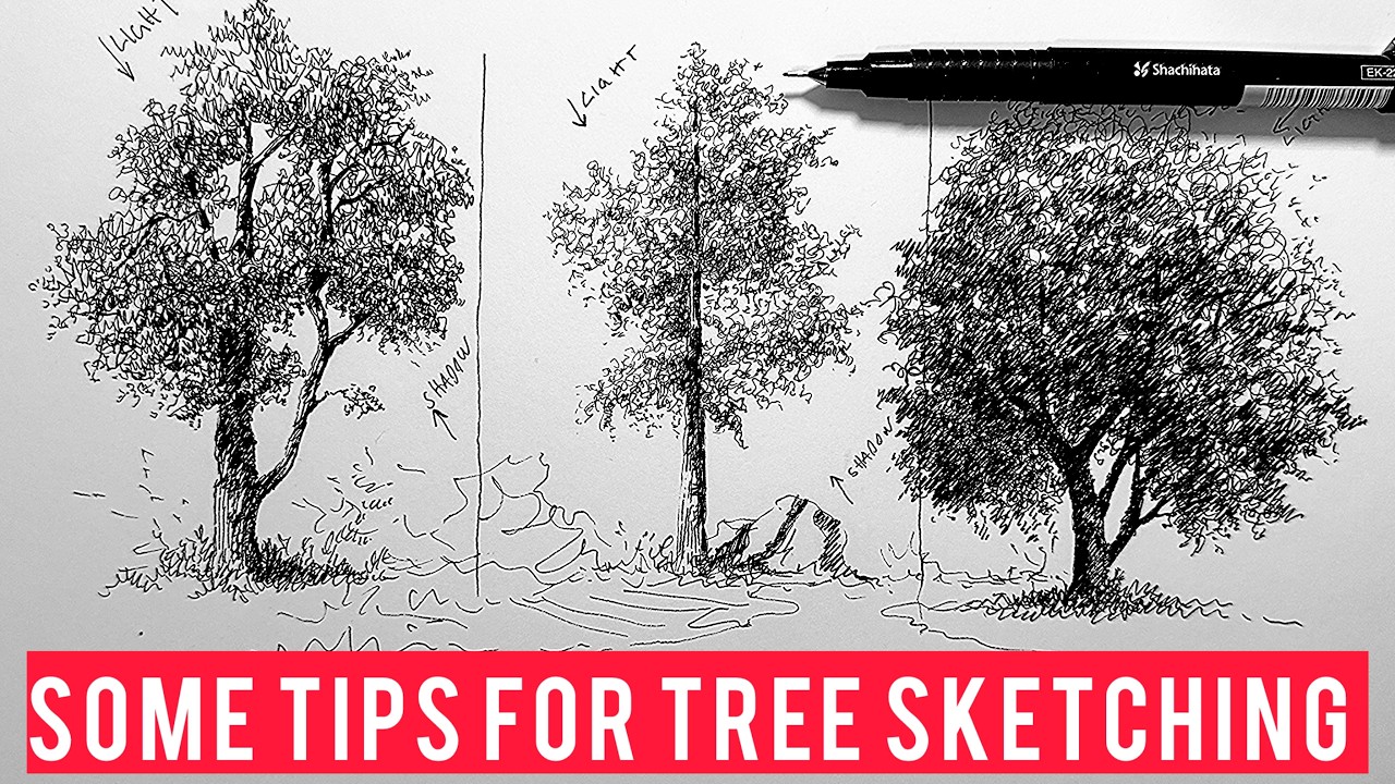 Tree Sketching Tutorial: Light, Shadow & Natural Look – Part 3 - YouTube