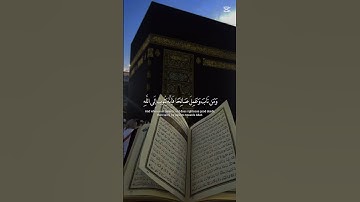 سورة المؤمنين #foryou #funny #quran #قرآن #ياسر_الدوسري #سورة_المؤمنون