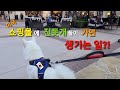 진돗개들과 쇼핑몰에 가면 생기는 일!? / What happens when we take  Korean Jindo dogs to the shoppes mall!?