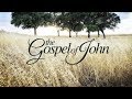 Jesus View of the Bible - Gospel of John Series - John Chapter 10:22-42