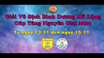 SIÊU KINH KHỦNG KHIẾP HOẢNG HỐT. ĐCQTĐS Lại Lý Huynh vs KTQG Hà Văn Tiến.. v4 Tăng Nguyên Giai 2020