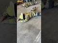 Firefighters Work So Hard — Emotional Tribute #firefighter #firefightingtraining #fire #bomberos