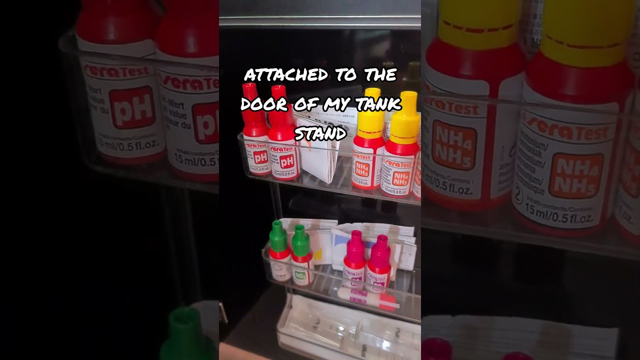 How to keep Aquarium tests tidy! 