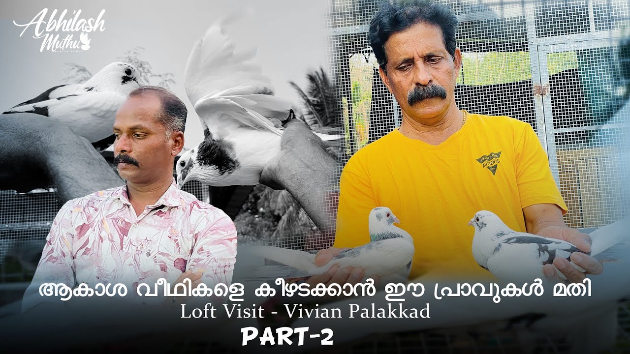 പ്രവുകുളുമായി ഒറ്റക്ക് വഴിവെട്ടിവന്നവൻ @Abhilashmuthu9491 