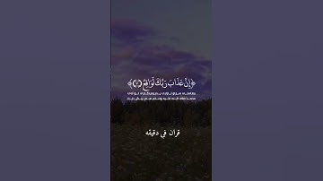 قران كريم ارح قلبك وسمعك #قران_في_دقيقة #رزكار_الكردي #quran #قرآن @قران_في_دقيقة
