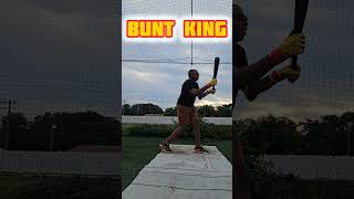 BUNT KING BACK AT IT . #baseballszn #baseball #mlb #sports #baseballlife #baseballlifestyle #mlb