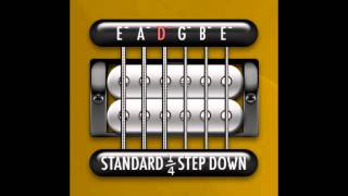 Perfect Guitar Tuner E Standard - 14 Step Down Acdc