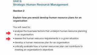 Unit 5 Human Resource Management Assignment Level 7