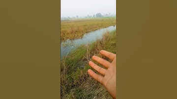 my first vlogs 🙏🙏 || my first vlog || #firstvlog #minivlog #shorts #shortvideo